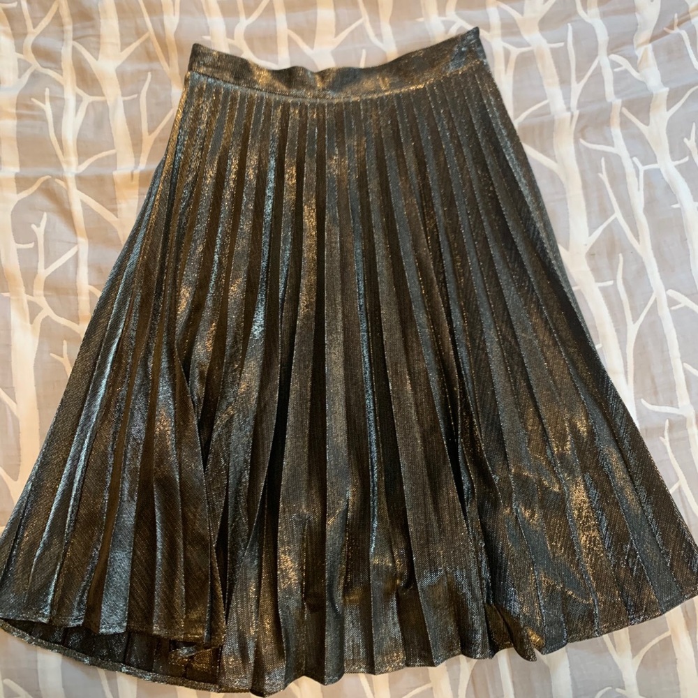 Francesca’s Blue Rain Gold Pleated Skirt